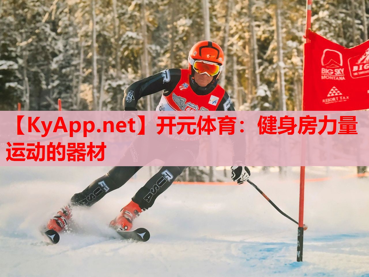 健身房力量运动的器材 健身房力量运动的器材