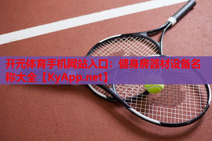 健身房器材设备名称大全 健身房器材设备名称大全