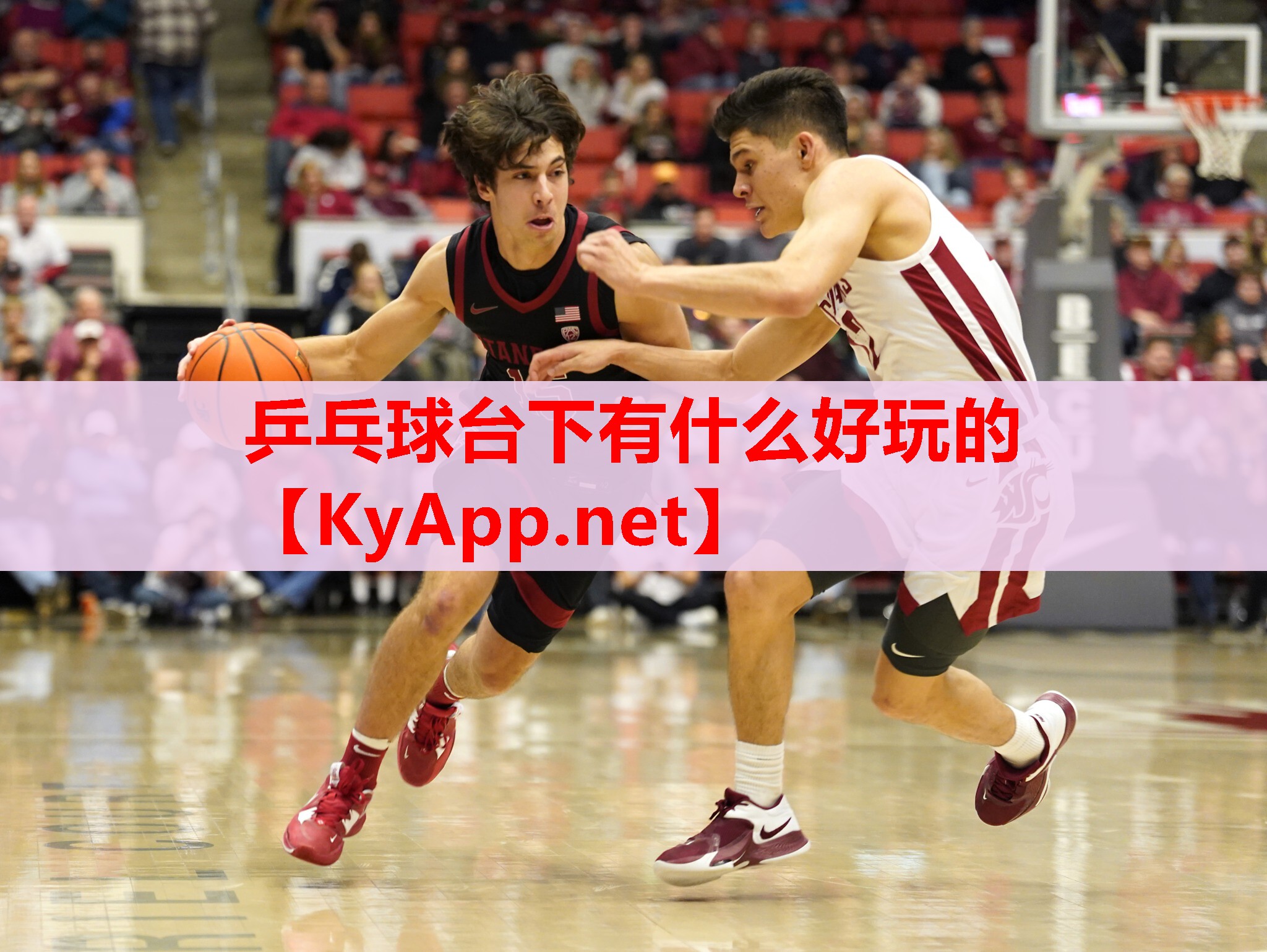 乒乓球台下有什么好玩的 乒乓球台下有什么好玩的