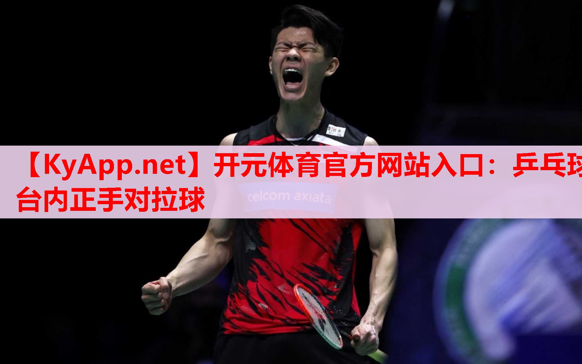 乒乓球台内正手对拉球 乒乓球台内正手对拉球