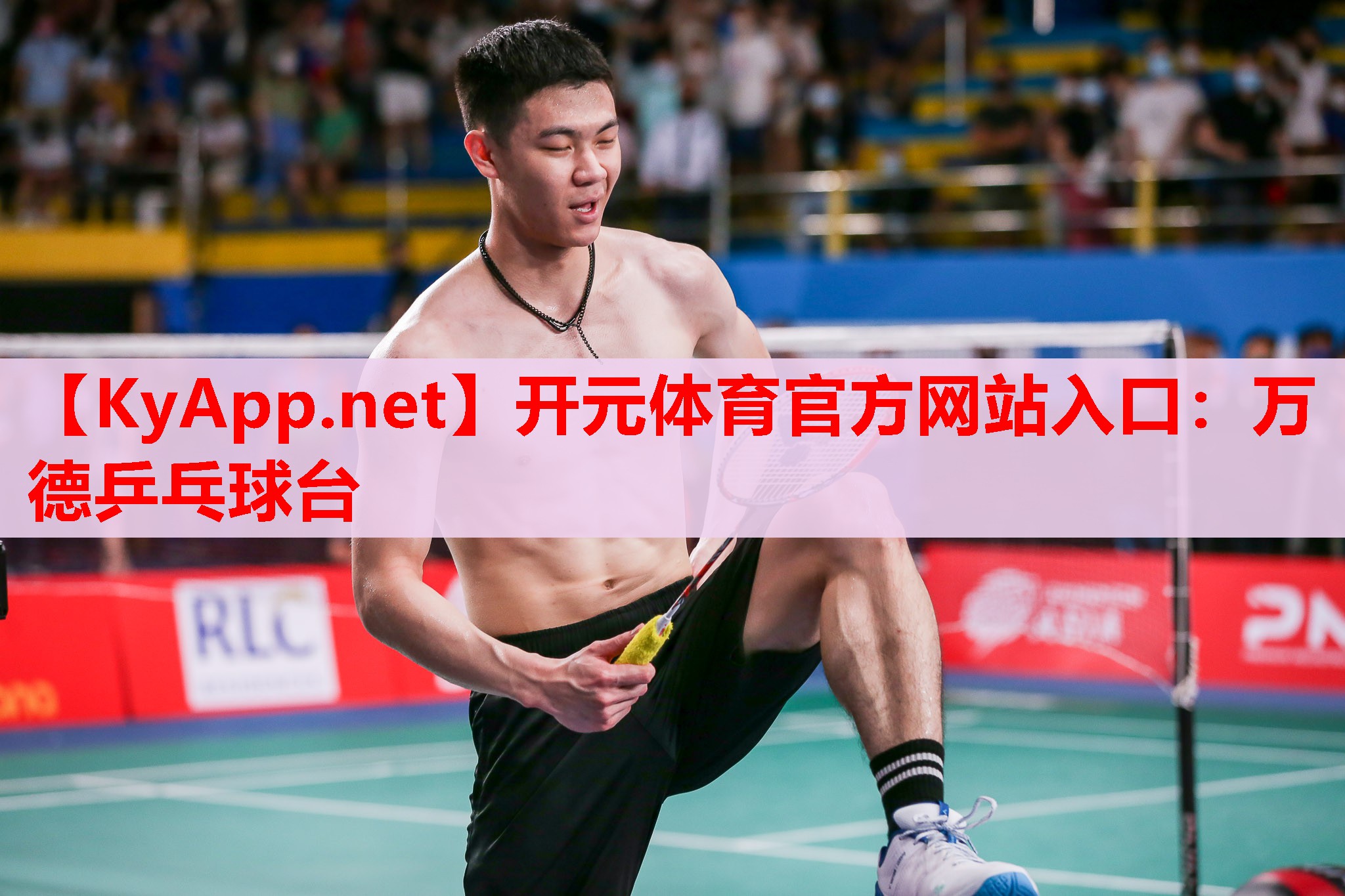 万德乒乓球台 万德乒乓球台