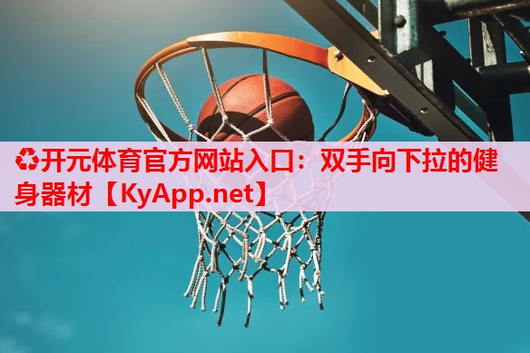 双手向下拉的健身器材 双手向下拉的健身器材