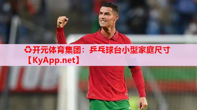乒乓球台小型家庭尺寸 乒乓球台小型家庭尺寸
