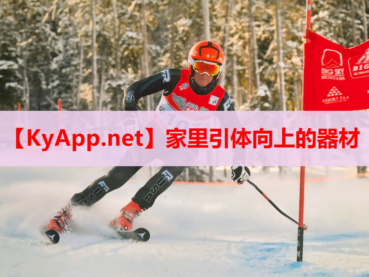 家里引体向上的器材 家里引体向上的器材