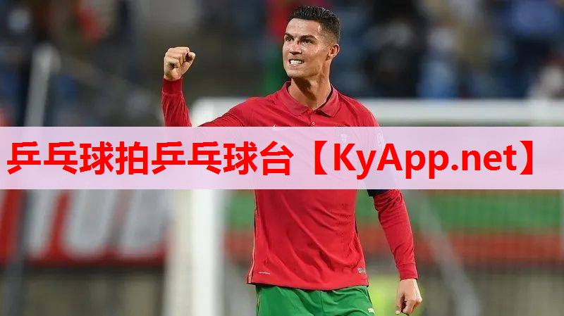 乒乓球拍乒乓球台 乒乓球拍乒乓球台