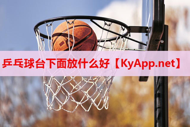 乒乓球台下面放什么好 乒乓球台下面放什么好