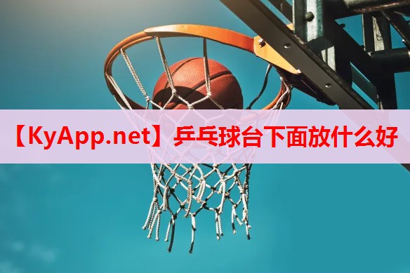 乒乓球台下面放什么好 乒乓球台下面放什么好