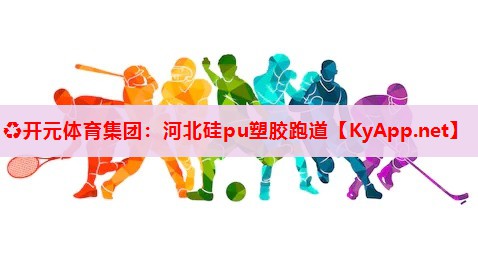 河北硅pu塑胶跑道 河北硅pu塑胶跑道
