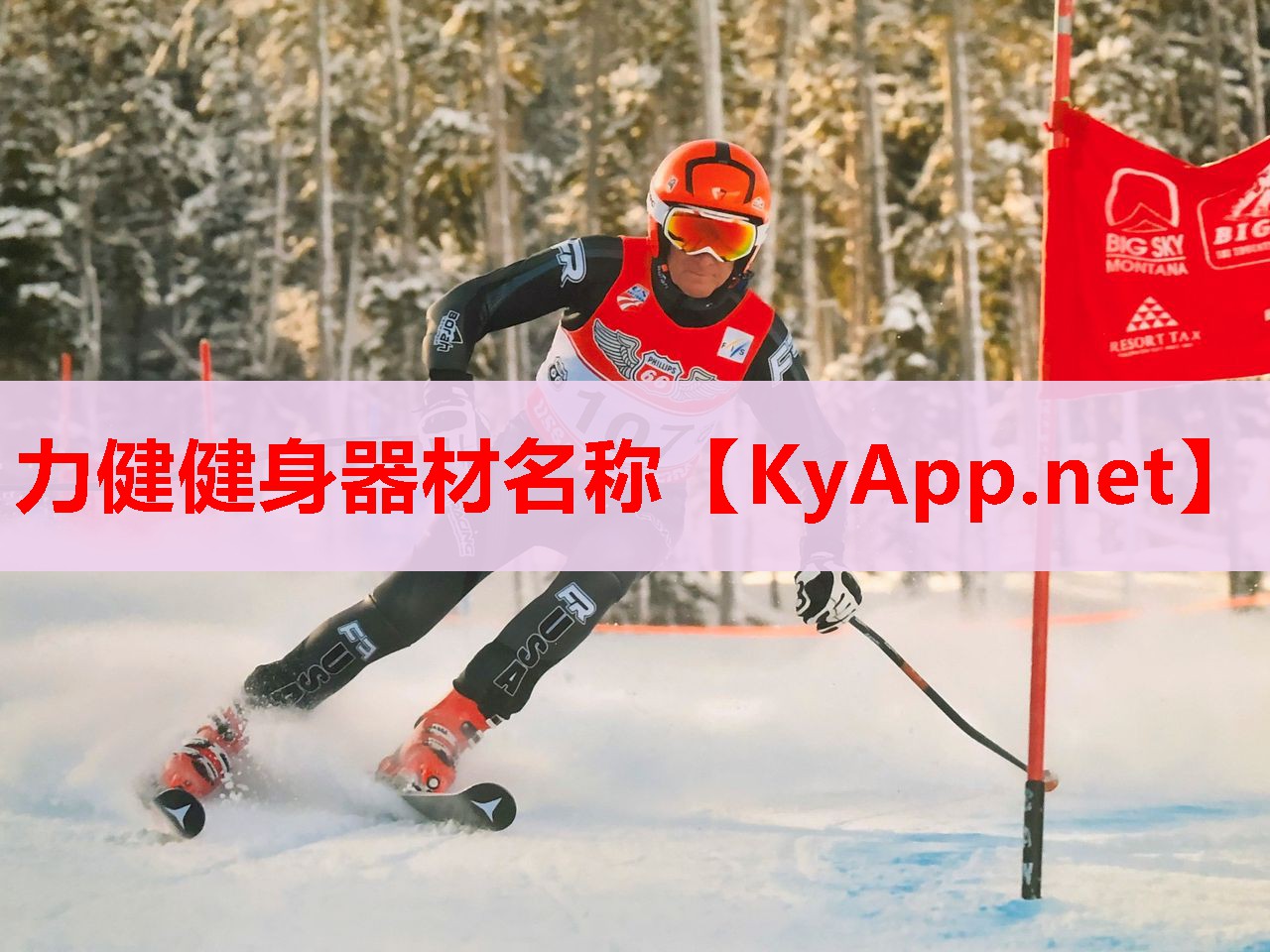 力健健身器材名称 力健健身器材名称