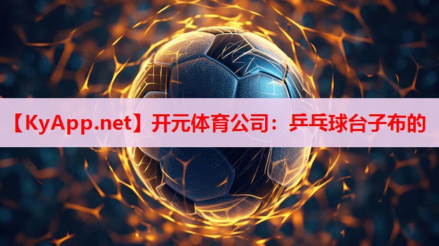 乒乓球台子布的 乒乓球台子布的
