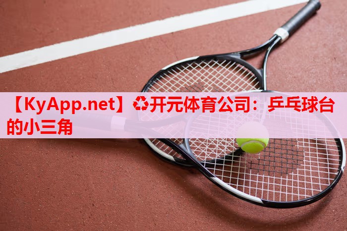 乒乓球台的小三角 乒乓球台的小三角