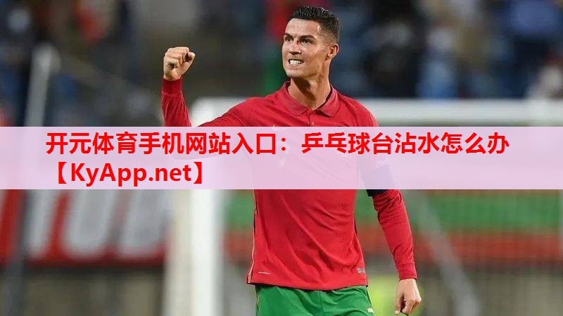 乒乓球台沾水怎么办 乒乓球台沾水怎么办
