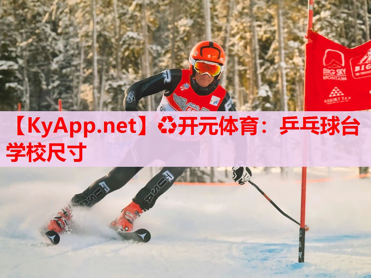 乒乓球台学校尺寸 乒乓球台学校尺寸
