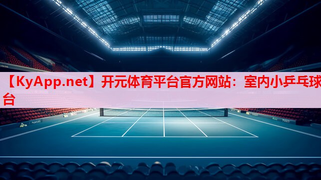 室内小乒乓球台 室内小乒乓球台