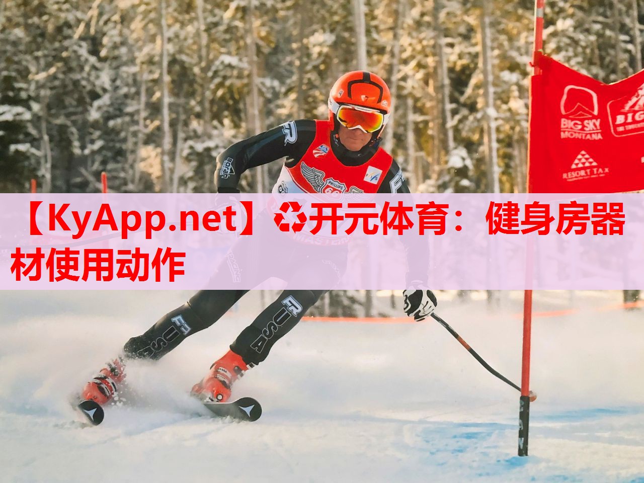 健身房器材使用动作 健身房器材使用动作
