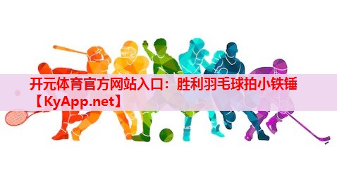 胜利羽毛球拍小铁锤