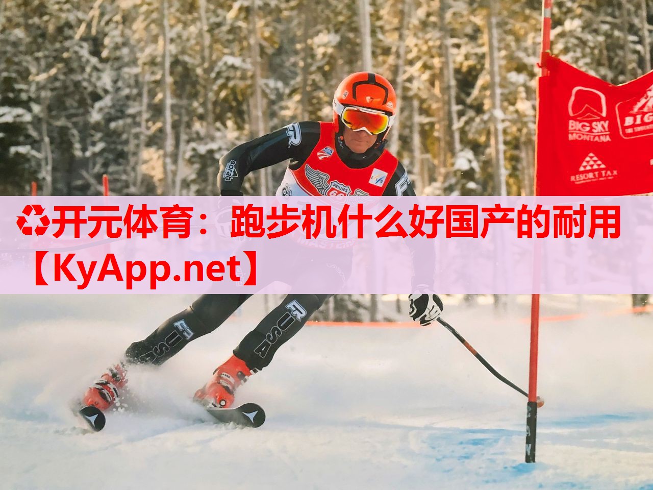 跑步机什么好国产的耐用