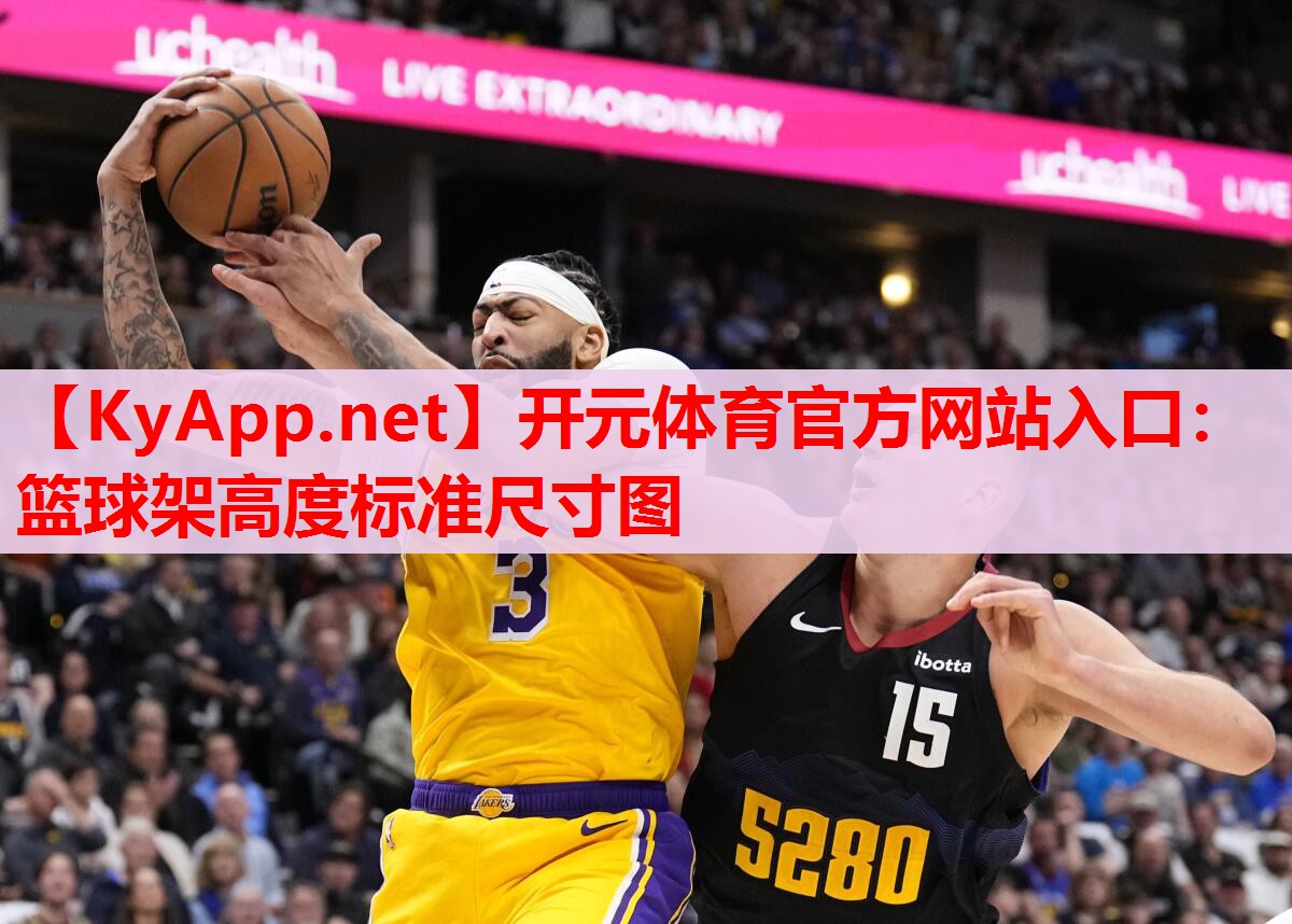 篮球架高度标准尺寸图