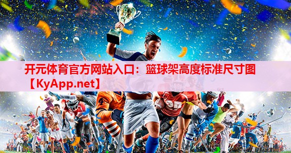 篮球架高度标准尺寸图