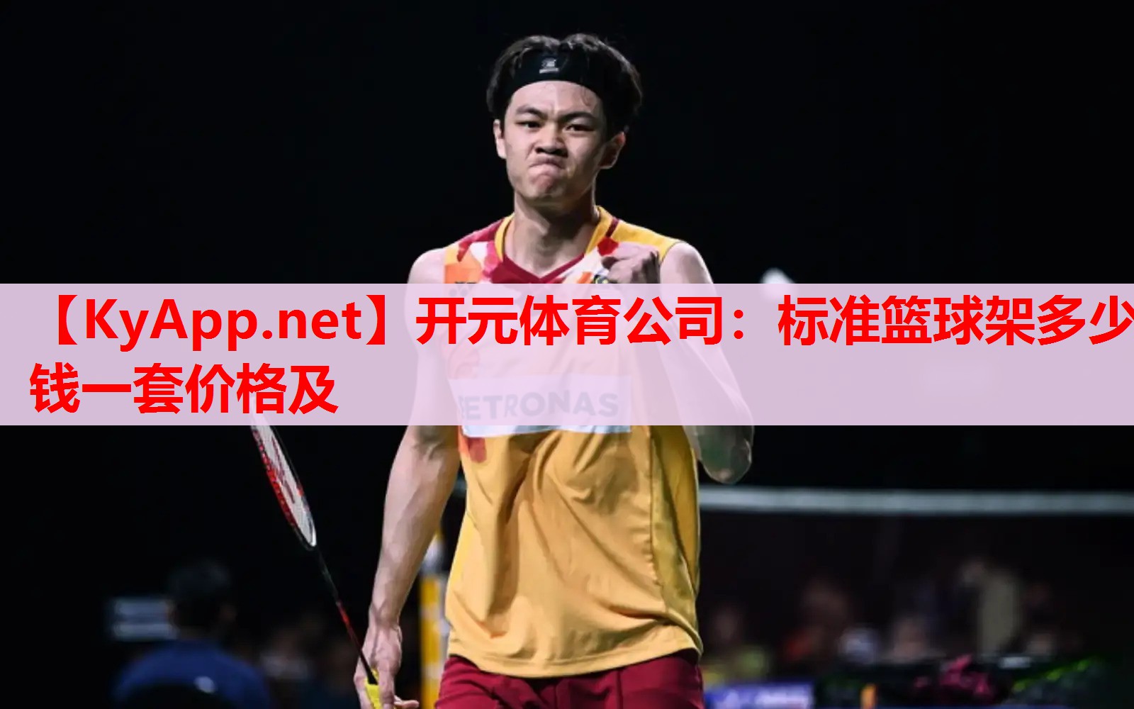 标准篮球架多少钱一套价格及