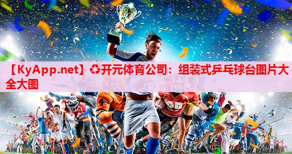 组装式乒乓球台图片大全大图