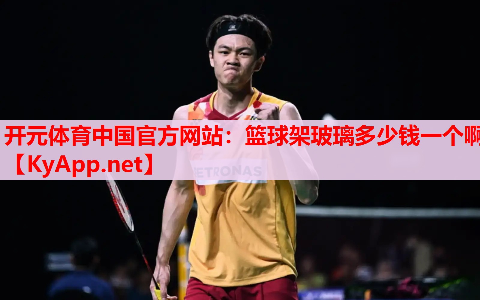 篮球架玻璃多少钱一个啊